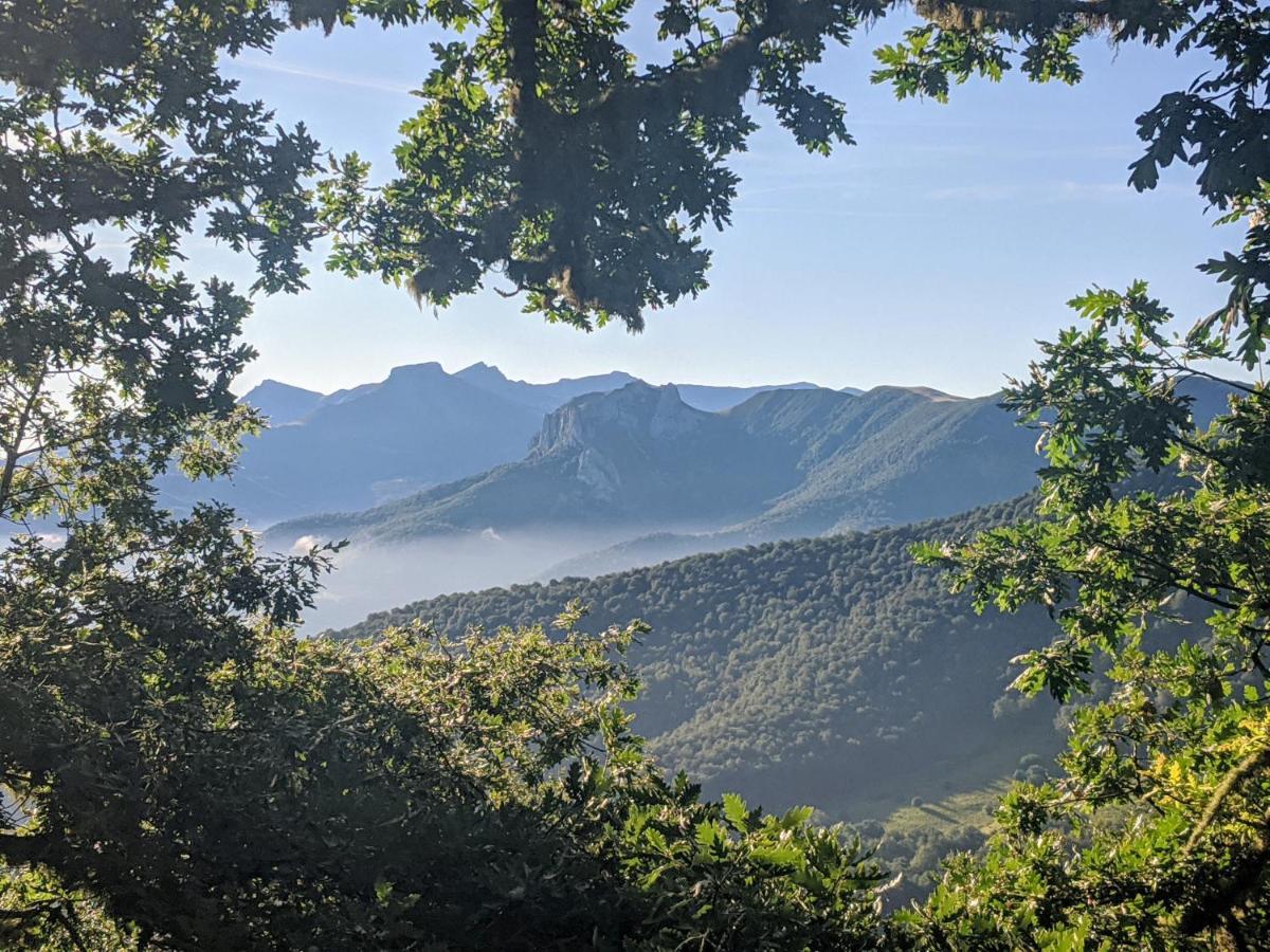 Apartamento Olmares Picos De Europa - 4 Personas Lomeña Exterior foto